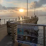 Apartamento Em Santos Na Ponta Da Praia