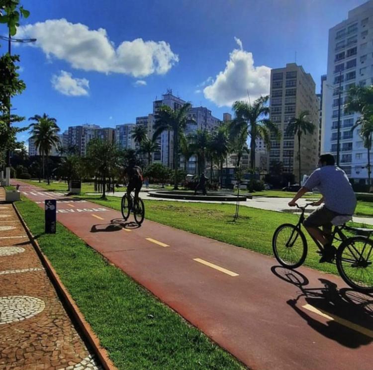 Em Na Ponta Da *